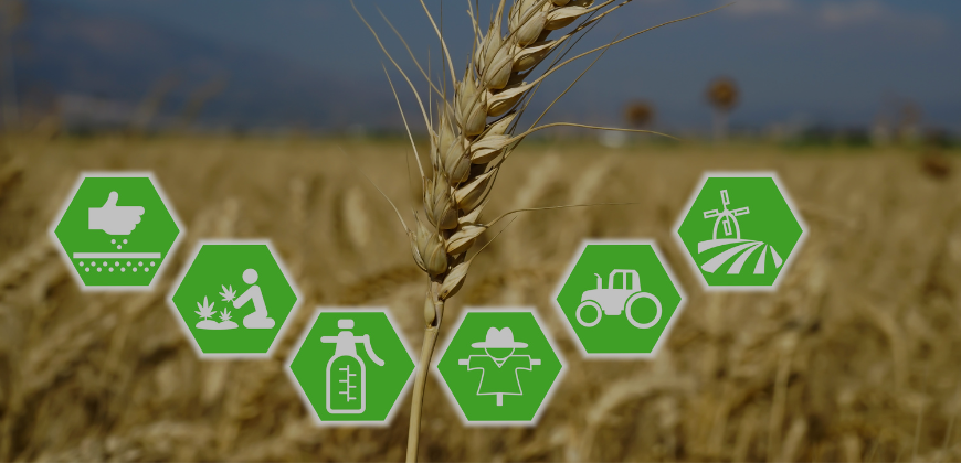 Agribusiness
